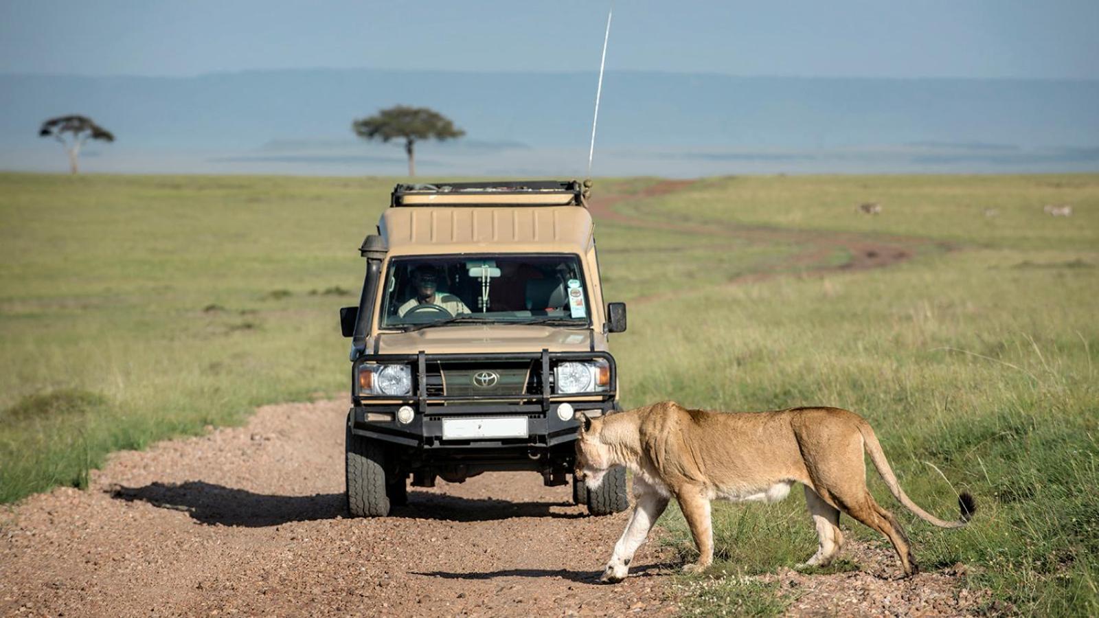 Talek Bush Camp , Masai Mara Hotel Exterior foto